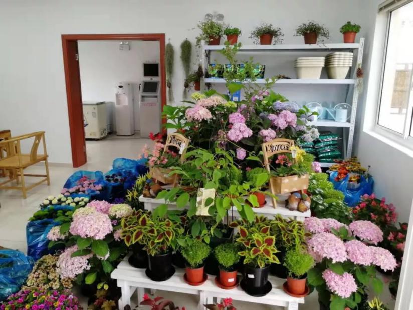 上海市惠南区,上海惠南镇规划