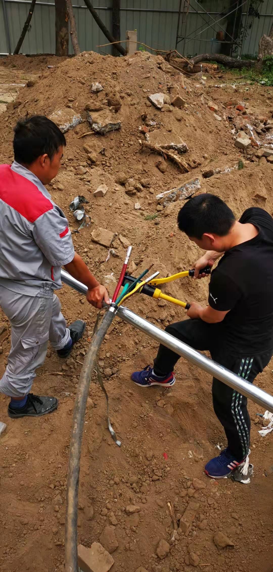 鲁能五个希望之星,鲁能的希望之星