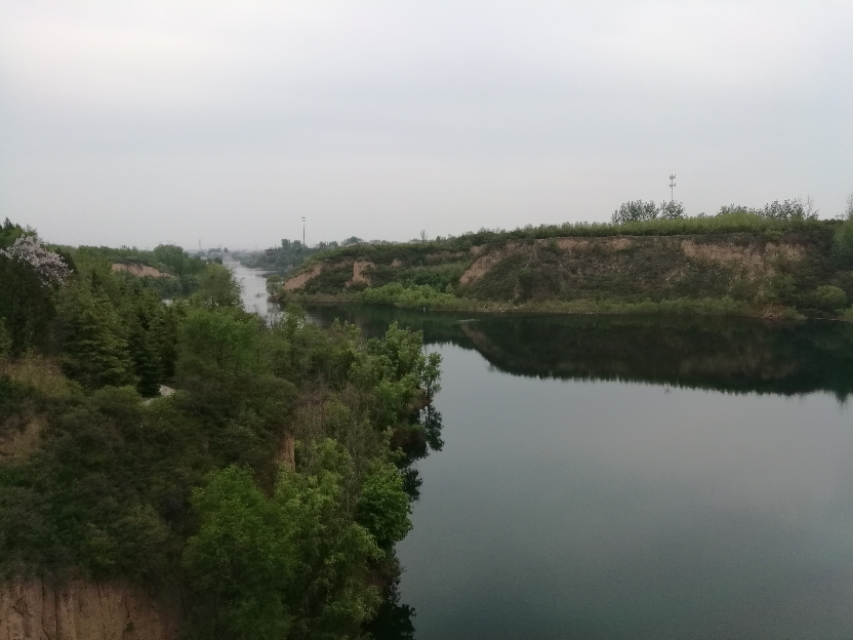 郑州树木园最新视频,郑州树木园现状