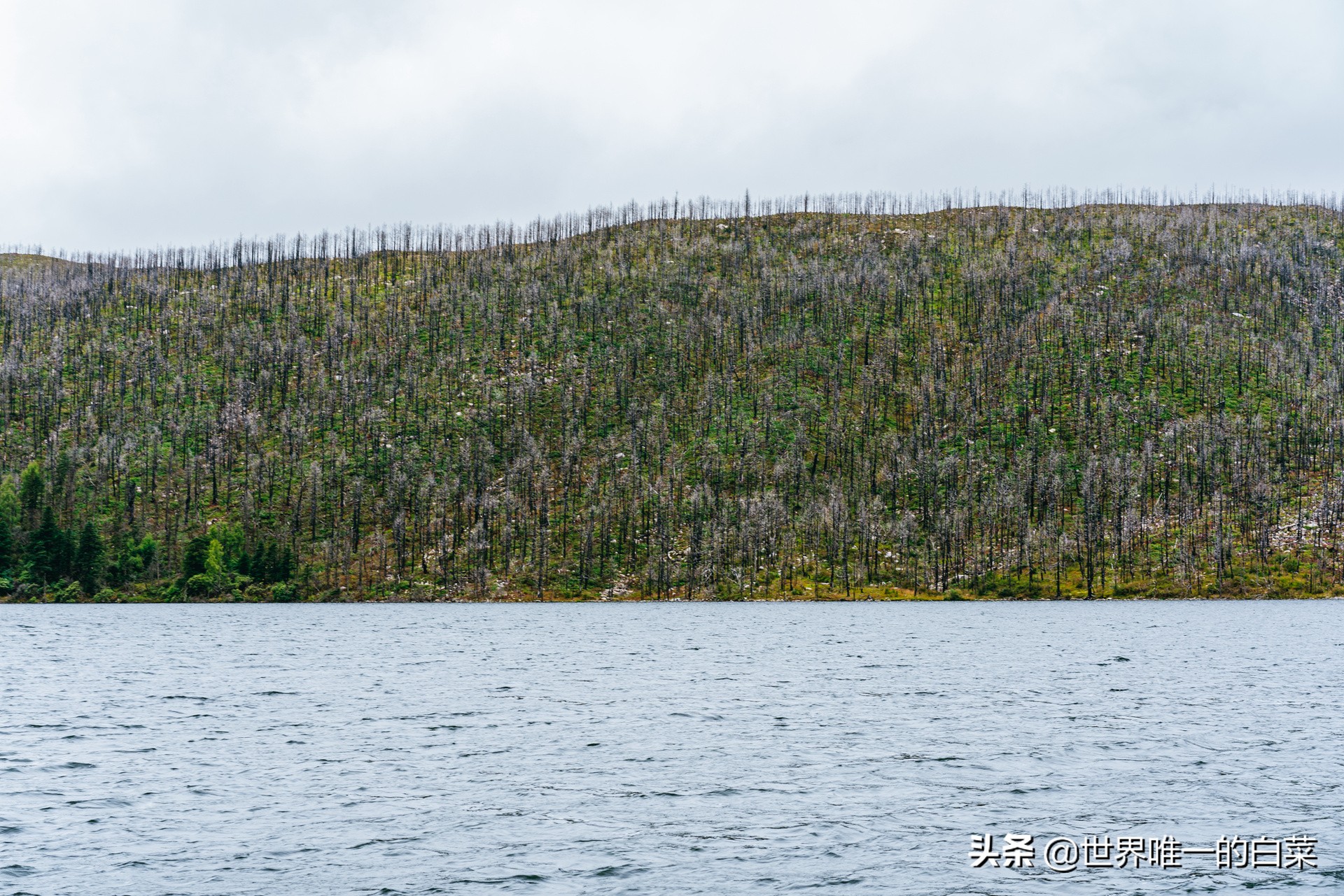 康定情歌川西旅游,318川西康定木格措