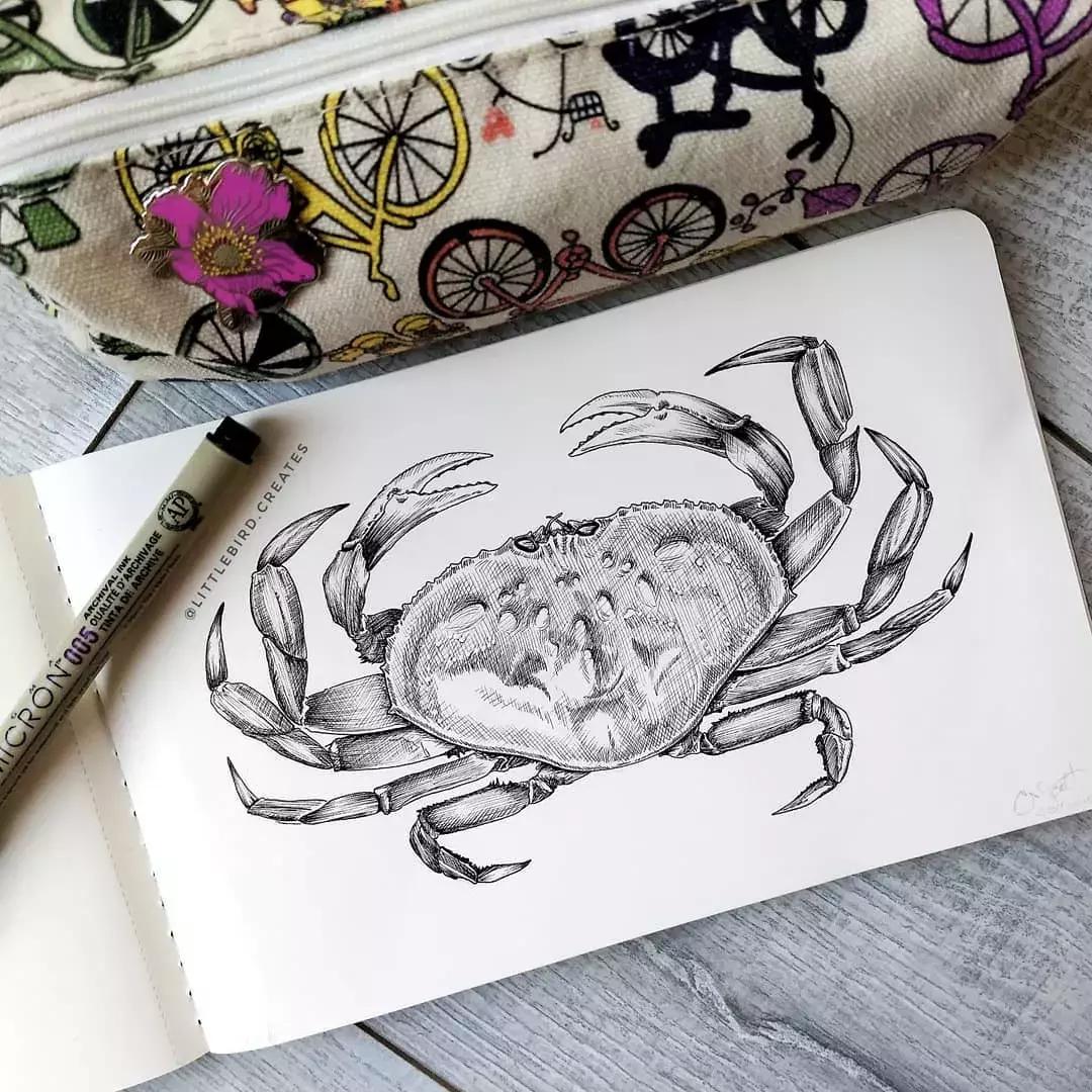 这一波手绘太给力了,绝对让你练完不厉害都难