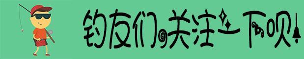 钓小龙虾的方法和技巧,小龙虾的钓法及用法