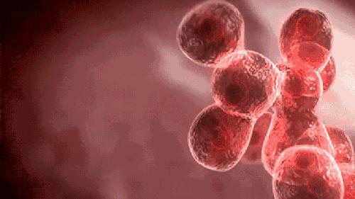 长在什么部位的痣最危险,长在哪些部位的痣需要特别注意