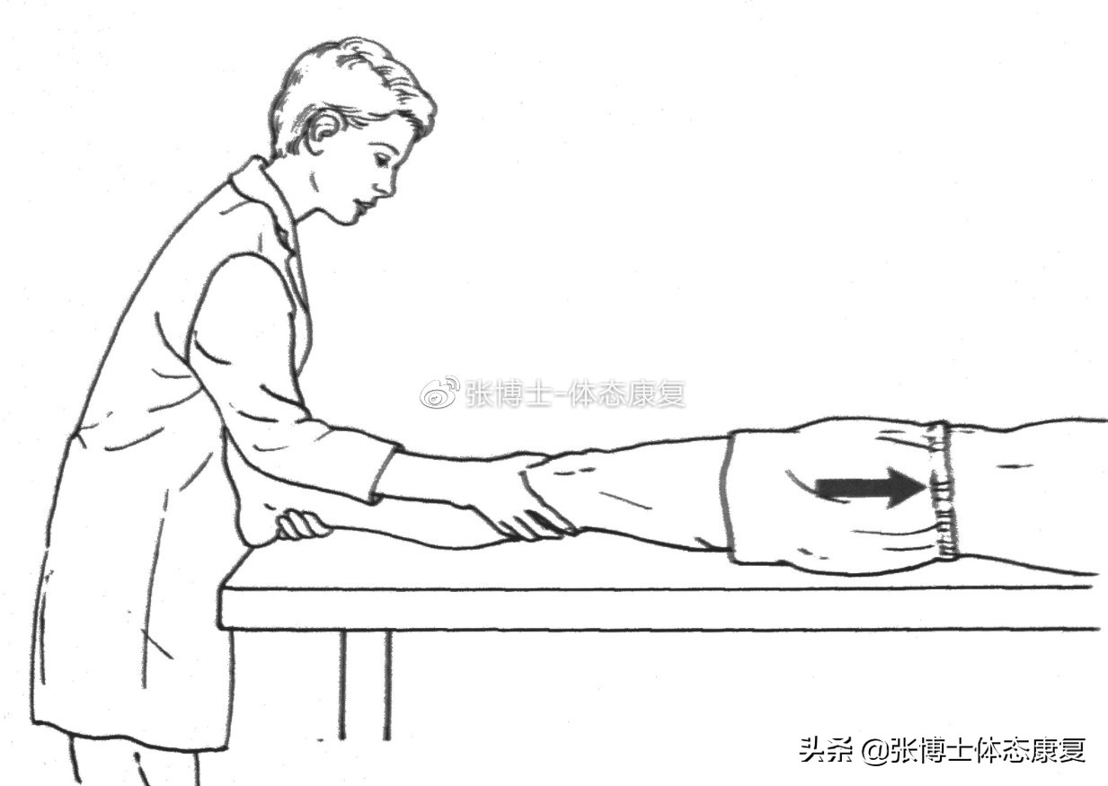 「译文分享」人体侧向子系统与单腿运动的稳定性