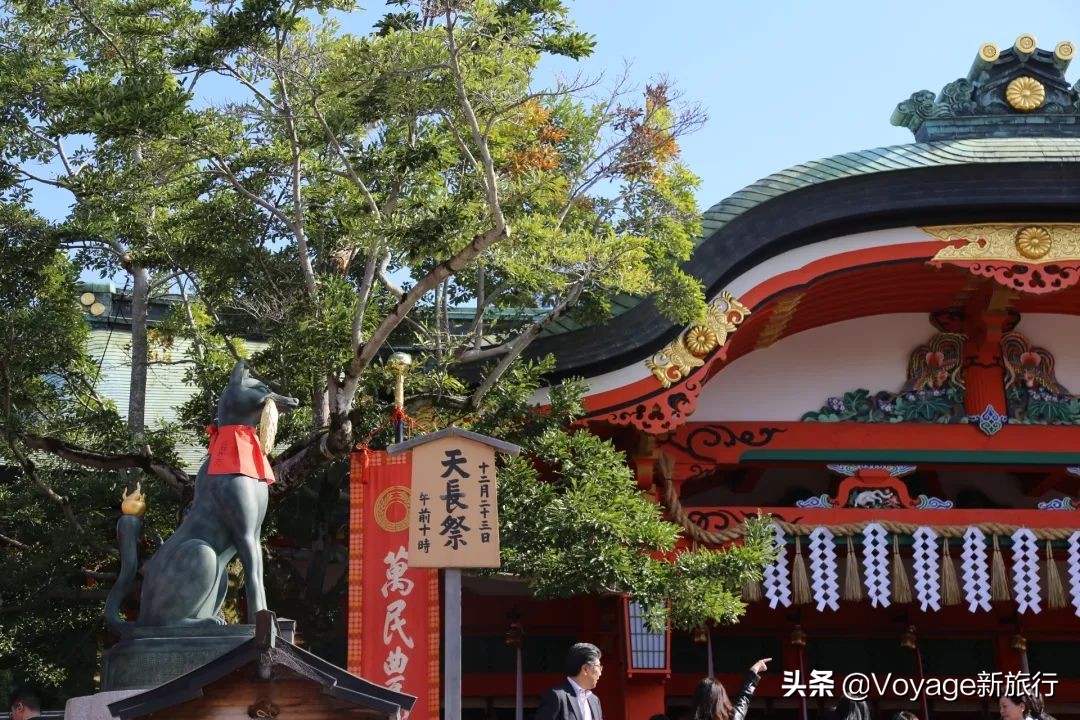 秋天来京都，体验「限定红」的“枫”情万种