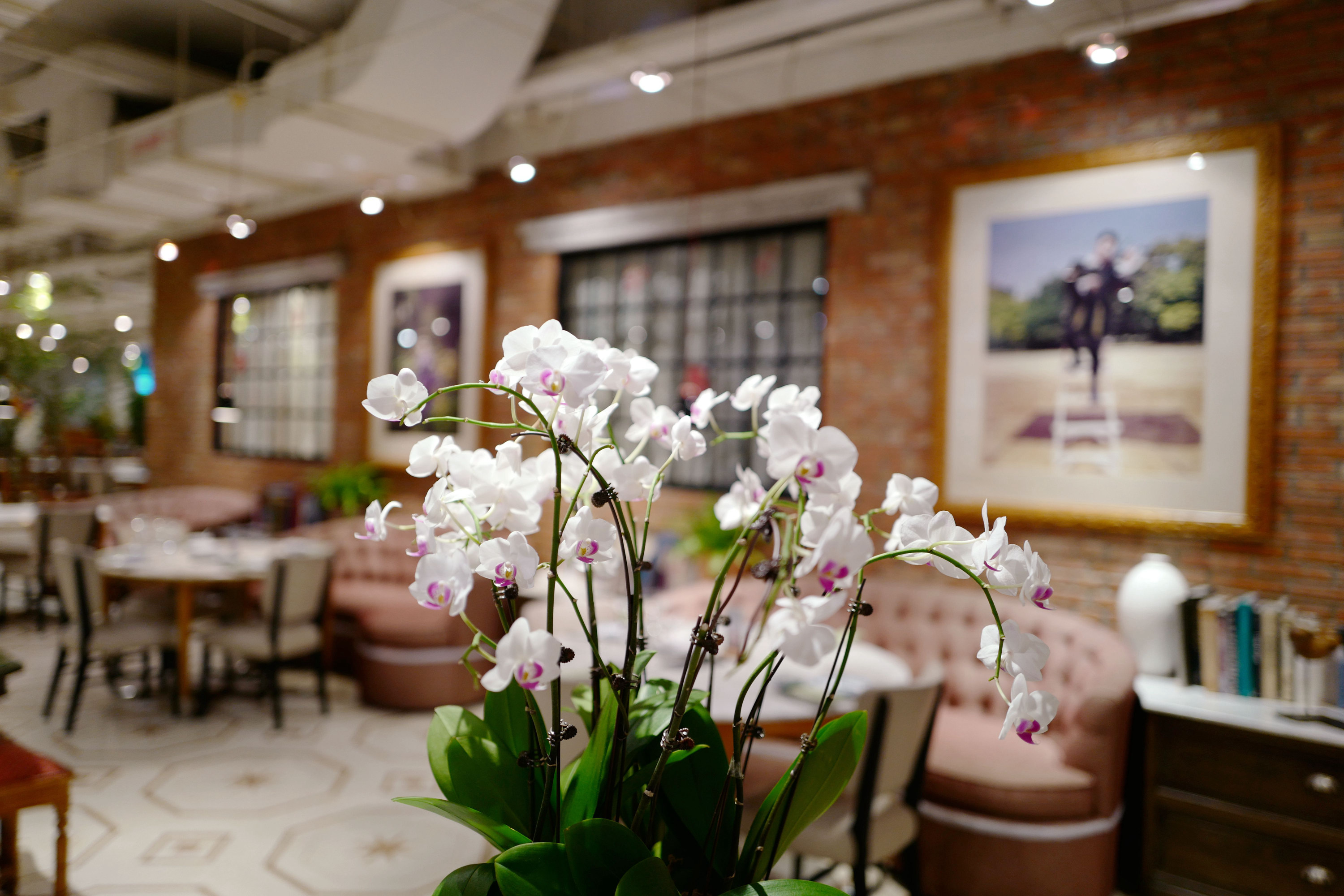 经典川味家常下饭菜菜谱,正宗川味小菜的做法