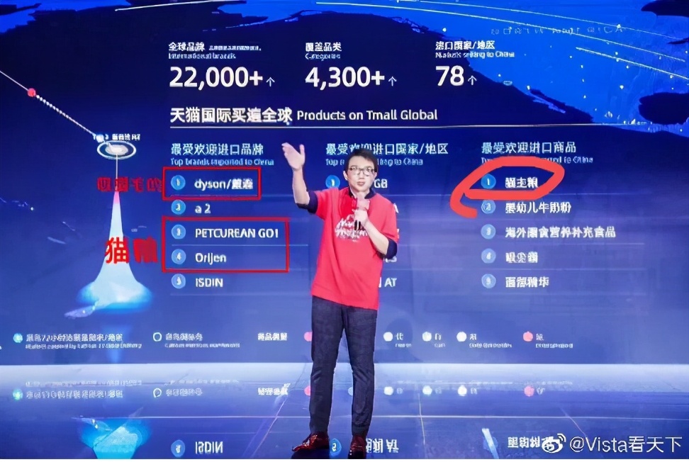 以为单身就可以自由,开始以为养猫是为了不孤单