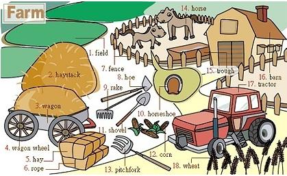英语生活常见单词拼读启蒙,图解速记初中英语高频词汇