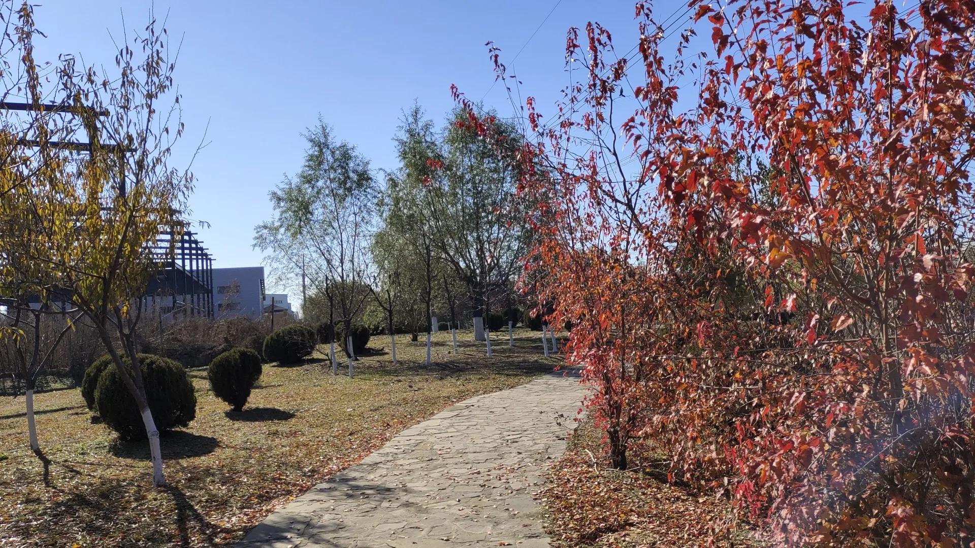 沈阳远大湿地公园,沈阳七星湿地公园