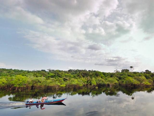 亚马逊雨林是世界上最大的雨林,亚马逊热带雨林最大的生物