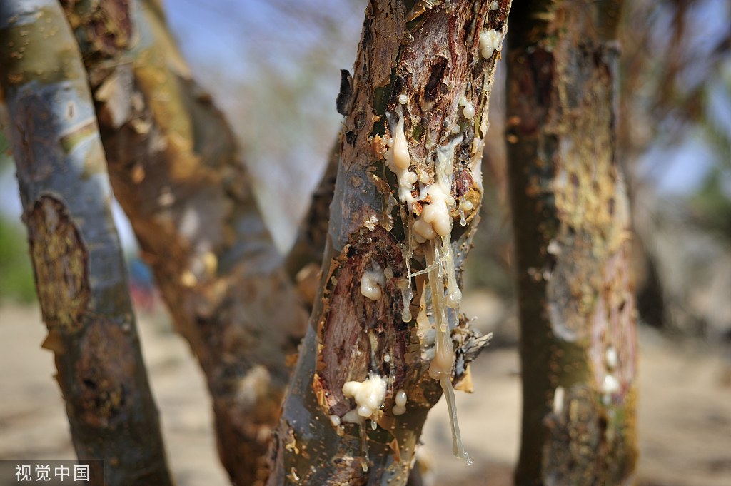精油的有效期限是多久,精油一般开了保质期是多久