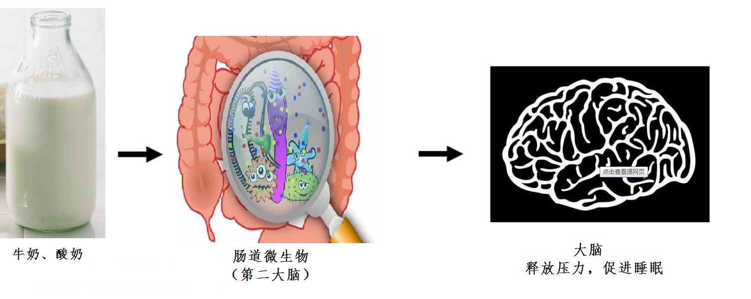 失眠最好的助眠方式,关于助眠的7个真相