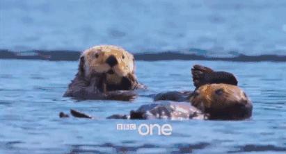 豆瓣9.8分悬疑大片,窥探电视剧豆瓣评分