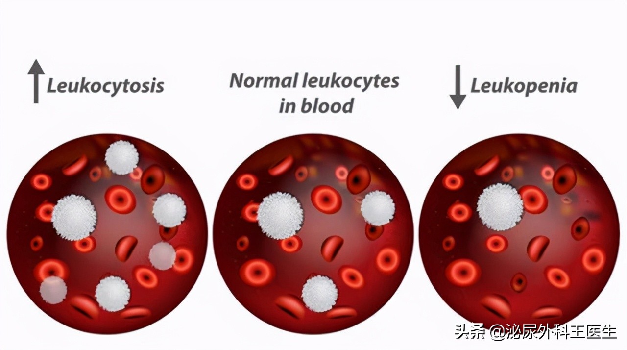 男人ed吃什么西药好,西地那非治疗ed效果怎么样