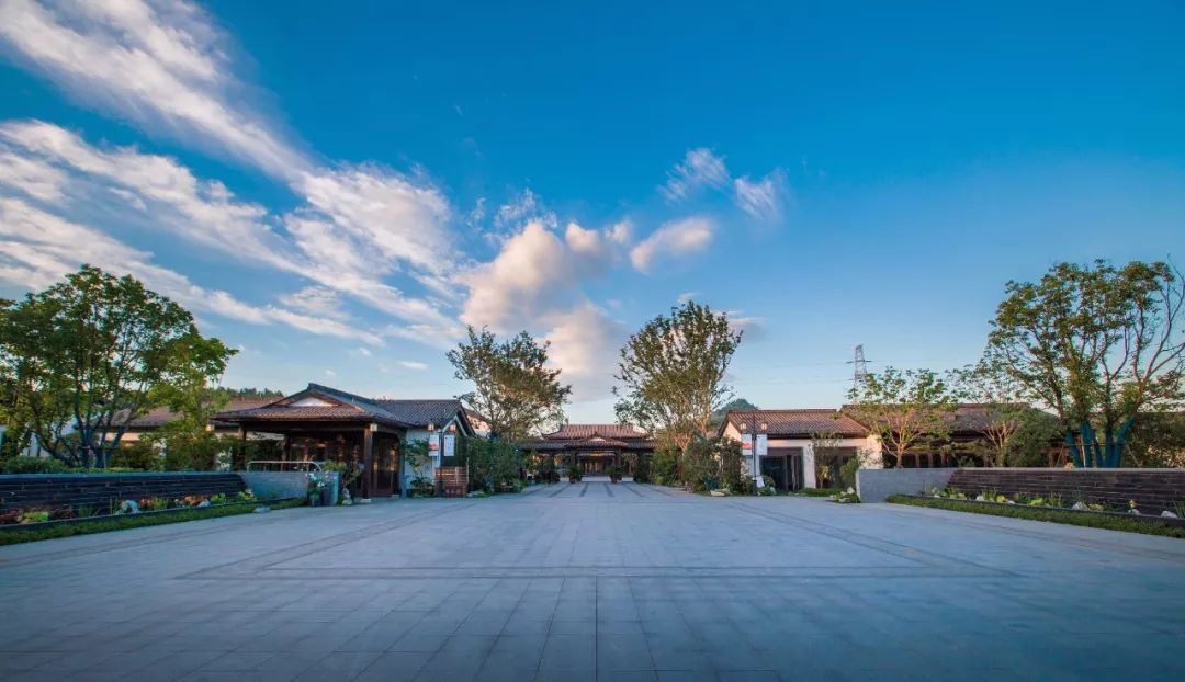 安吉桃花源逸竹,安吉江南桃花源