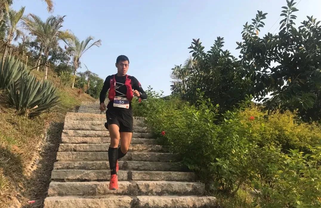 港百哪年开始的,港百最好成绩