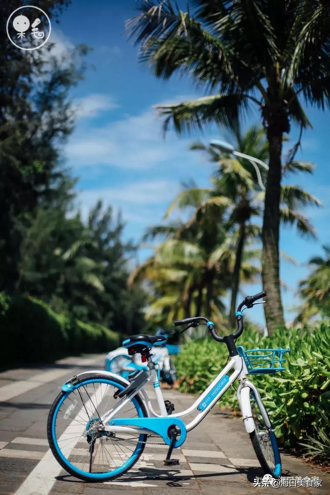 死心吧日语,死心吧