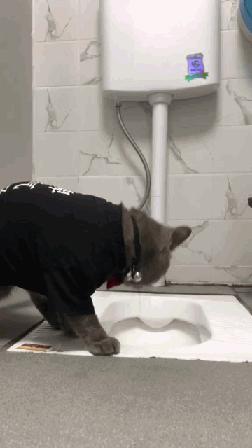 一周gif动图,一周gif图