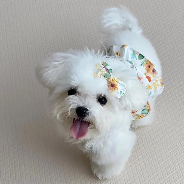 拿什么方式减压,有什么最好的减压方法