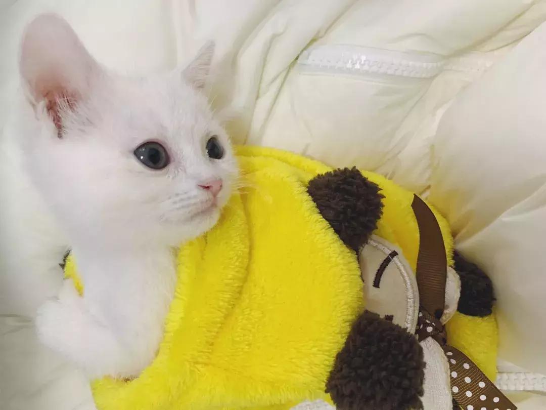 这年头钱难挣屎难吃话难听,钱难赚屎难吃电影台词