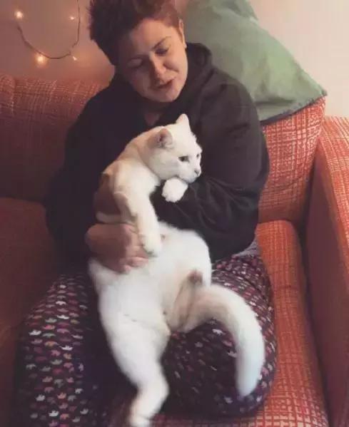 养猫党的十件事,新手养猫必须做的十件事