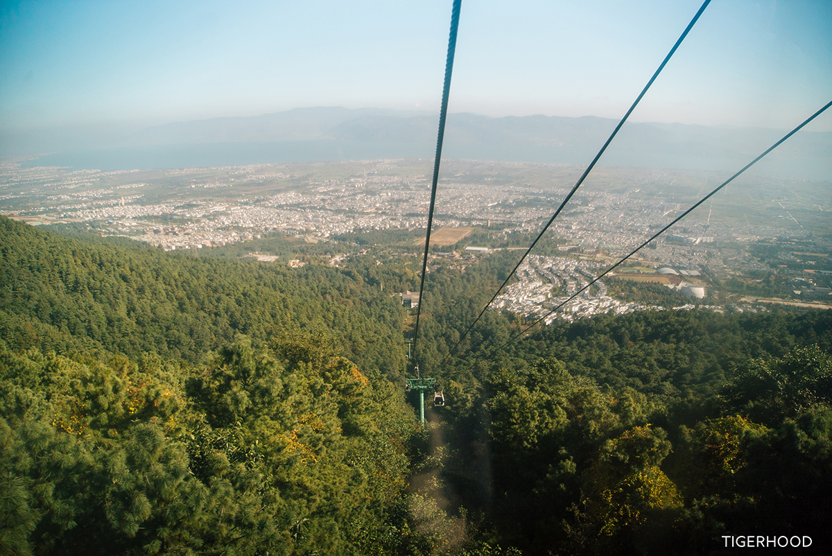 太格有物怎么样,太格有物