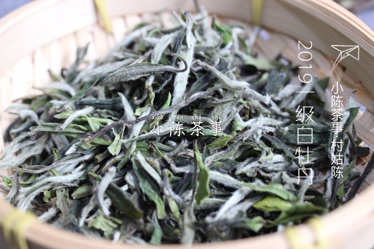 白茶这几年哪个年份品质最好,2023年的白茶品质怎么样