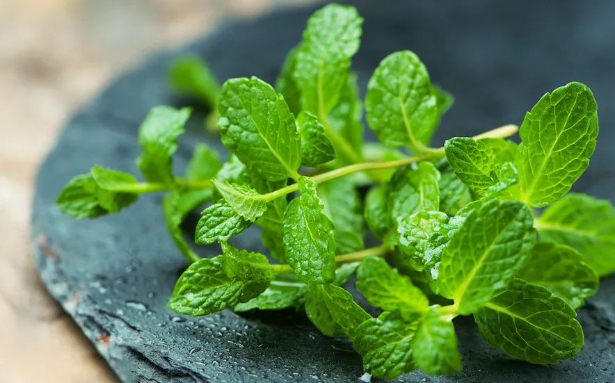 连同事都抢着试的高颜值口喷,用完嘴巴好清新,哈气都是香的