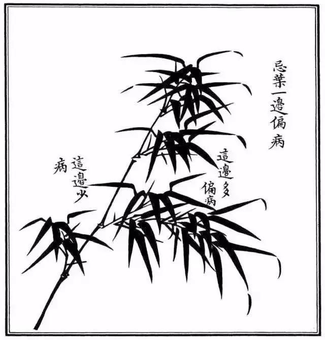 不带叶子的竹子怎么画,不会画画的竹子