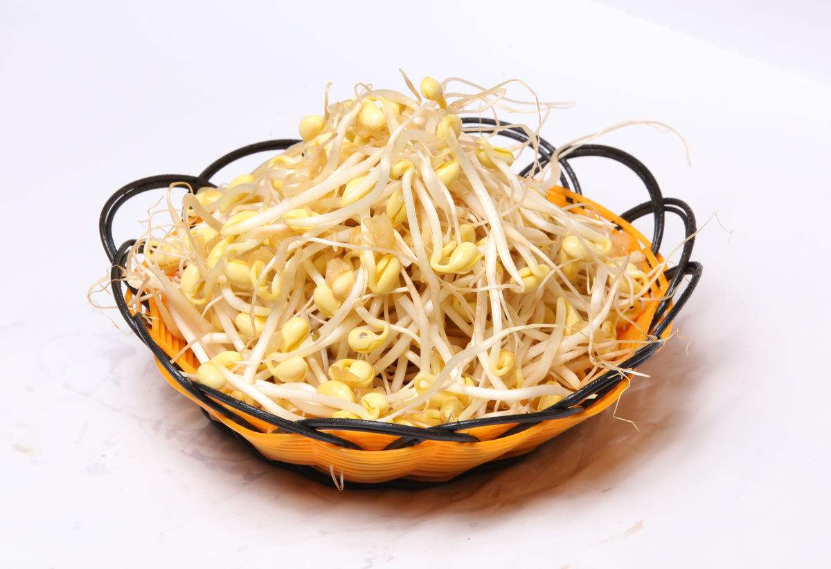 乡情散文田野情怀,春念乡情散文