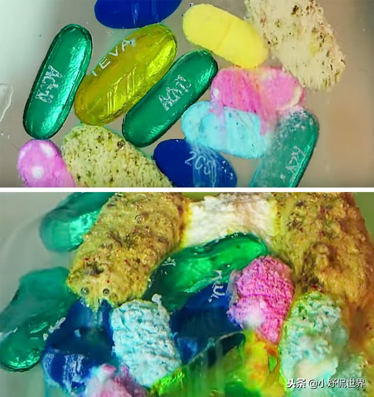 教科书照片与现实照片,教科书图片里的人