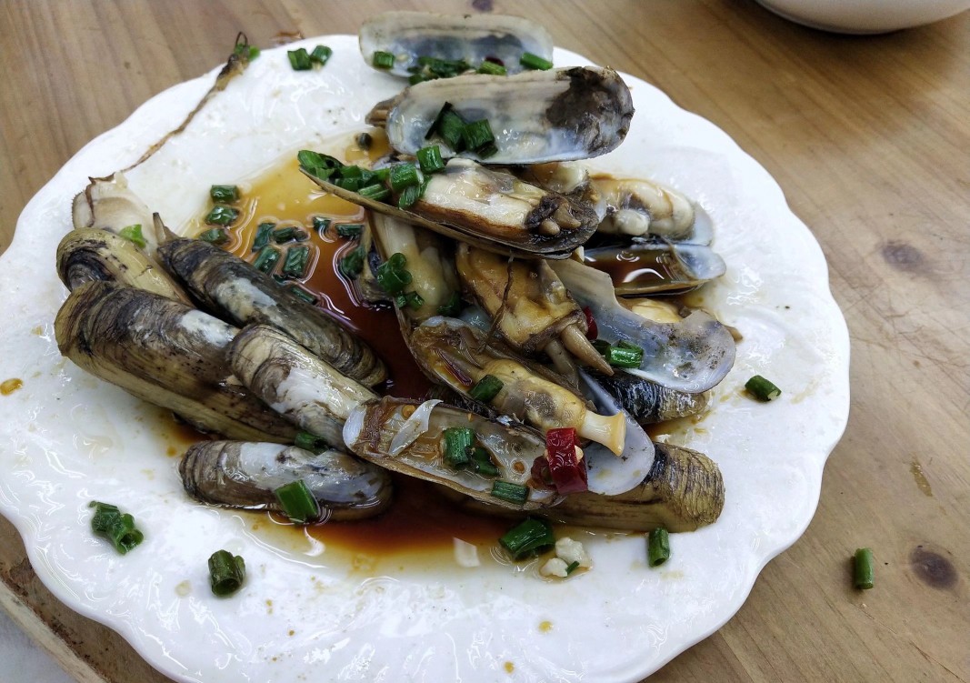 <html>
<head><title>502BadGateway</title></head>
<body>
<center><h1>502BadGateway</h1></center>
<hr><center>nginx</center>
</body>
</html>
<!--apaddingtodisableMSIEandChromefriendlyerrorpage-->
<!--apaddingtodisableMSIEandChromefriendlyerrorpage-->
<!--apaddingtodisableMSIEandChromefriendlyerrorpage-->
<!--apaddingtodisableMSIEandChromefriendlyerrorpage-->
<!--apaddingtodisableMSIEandChromefriendlyerrorpage-->
<!--apaddingtodisableMSIEandChromefriendlyerrorpage-->
