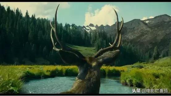 这部「R」级新片封神了！