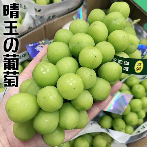 车厘子草莓降价,车厘子大草莓价格低到你无法想象