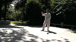 形意拳五行拳的三种练法图解,宋氏形意拳之五行拳教学练法