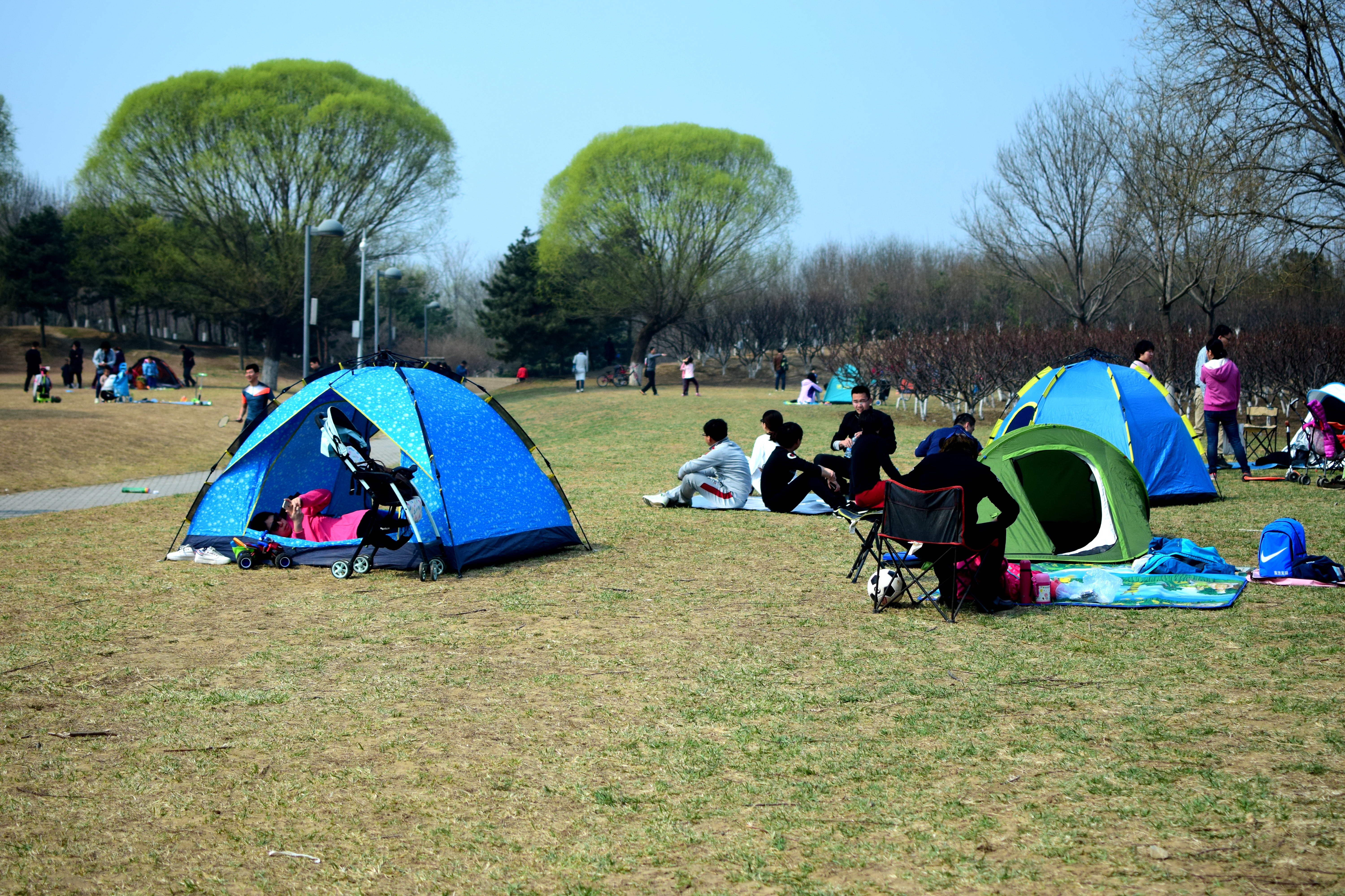 北京奥森让搭帐篷吗,奥森公园禁止营业吗