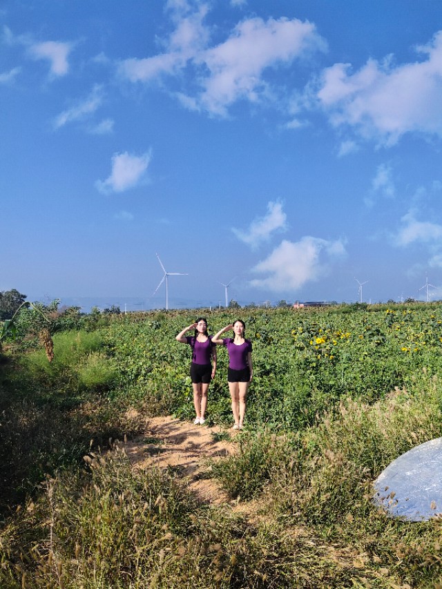 陕州区张茅乡：5000亩高粱红了,好似无际飘来的晚霞