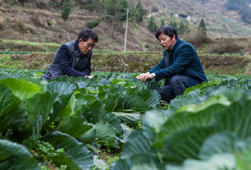 未来农村和乡镇赚钱的门路有哪些,藏在农村的暴利小生意有哪些