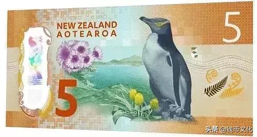 人民币发行70周年纪念钞价格10元,人民币70周年纪念钞50元价值多少