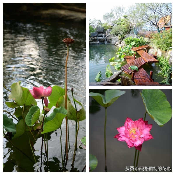 这座半山半水的土豪庭院，成了大多数男人的梦想｜花园拜访