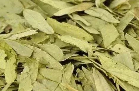 最伤肝的中草药,最伤肝的五种中药抖音