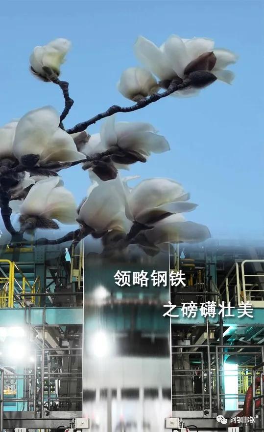 娌抽挗閭挗閾佽矾,娌抽挗閭挗楂樼倝