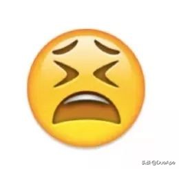 2023年流行表情包,2022年最流行的的表情包