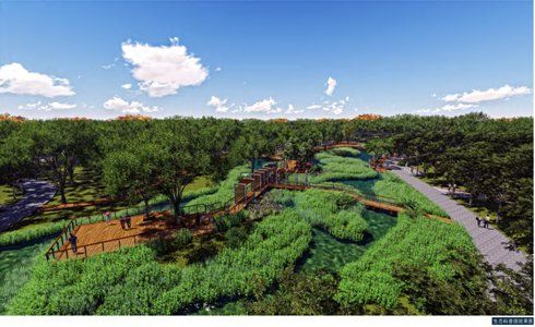 宝鸡会变成空城吗,宝鸡蟠龙新区会建成吗