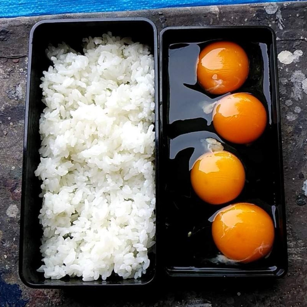 10分钟懒人便当,日本便当全过程