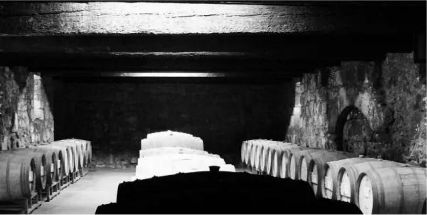 法国维克多代表作,法国维克多的代表作品有哪些