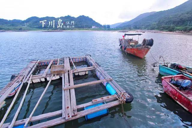 广东小帕劳,下川岛小帕劳