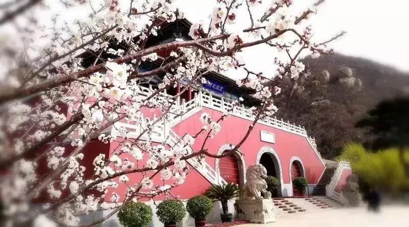 盘山峡谷漂流,黄崖关梨木台景区游玩攻略