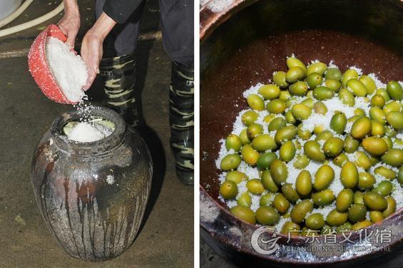 潮汕橄榄菜制作流程,橄榄菜紫菜潮汕做法