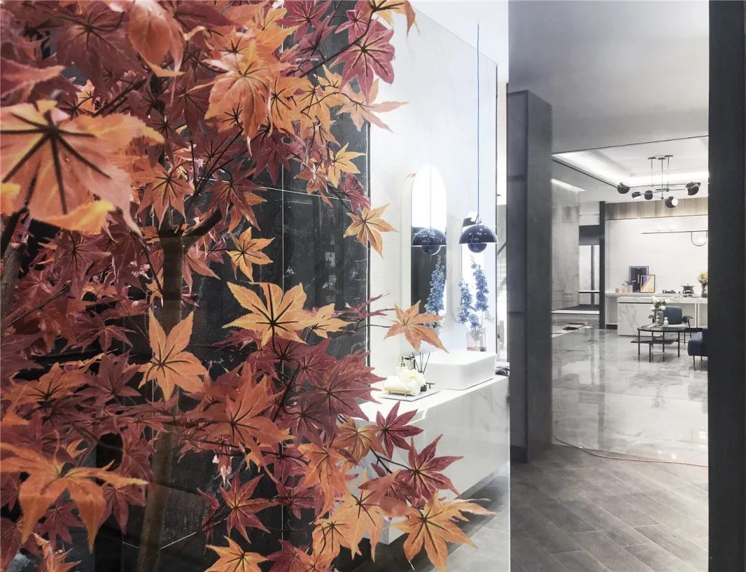 伊莉莎白瓷砖总店,伊莉莎白瓷砖最新消息